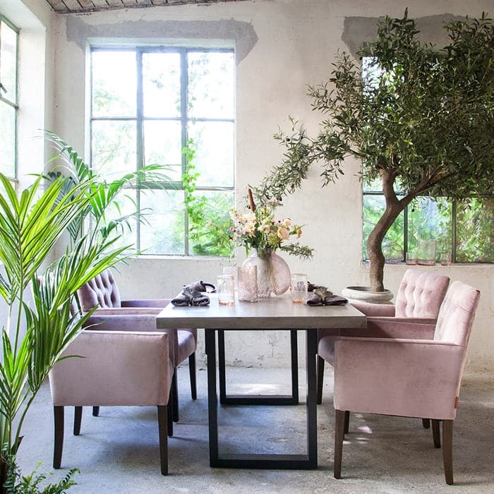 Sander Stol Armchair Velour Old Rose