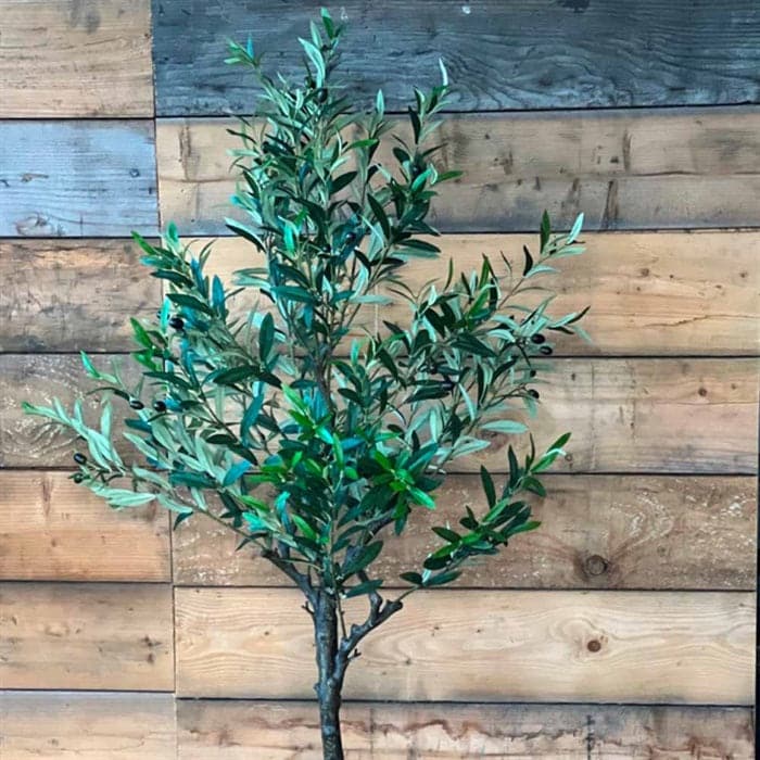Kunstigt oliventræ 155 cm