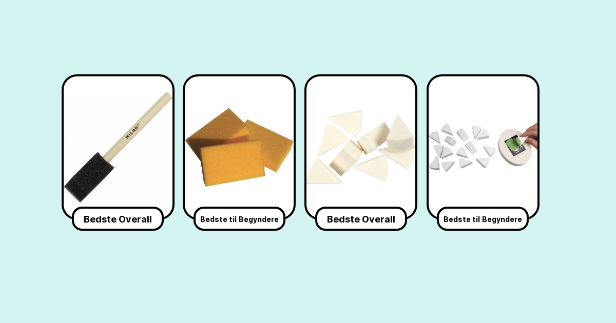 7 Bedste Malersvampe