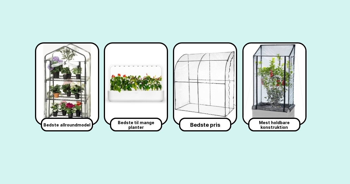 7 Bedste Minidrivhuse