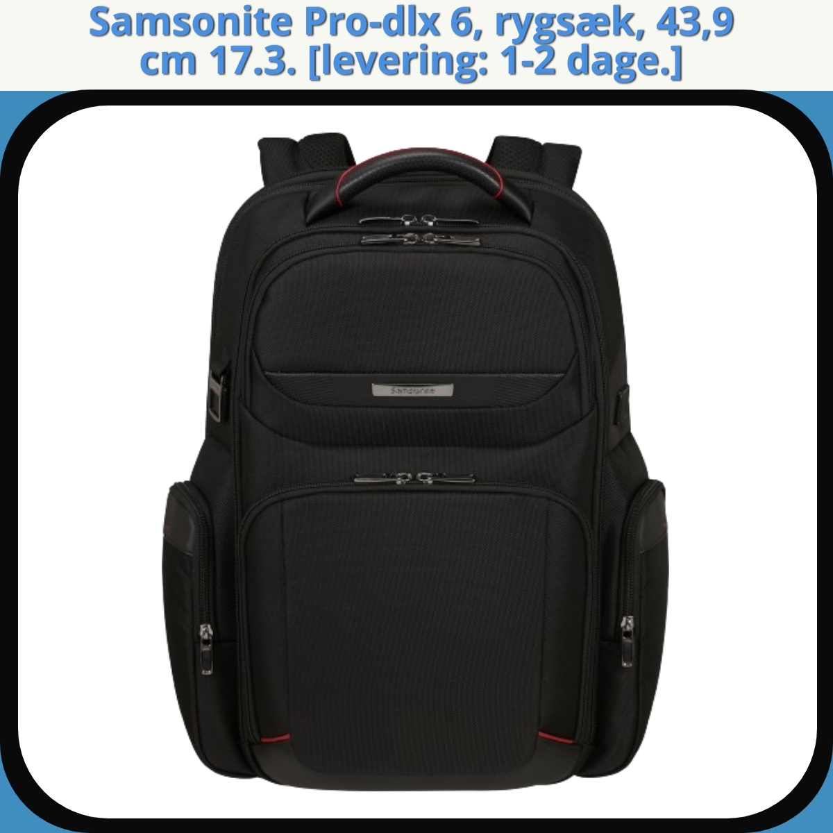 Anmeldelse af Samsonite Pro-dlx 6, rygsæk, 43,9 cm 17.3. [levering: 1-2 dage.]