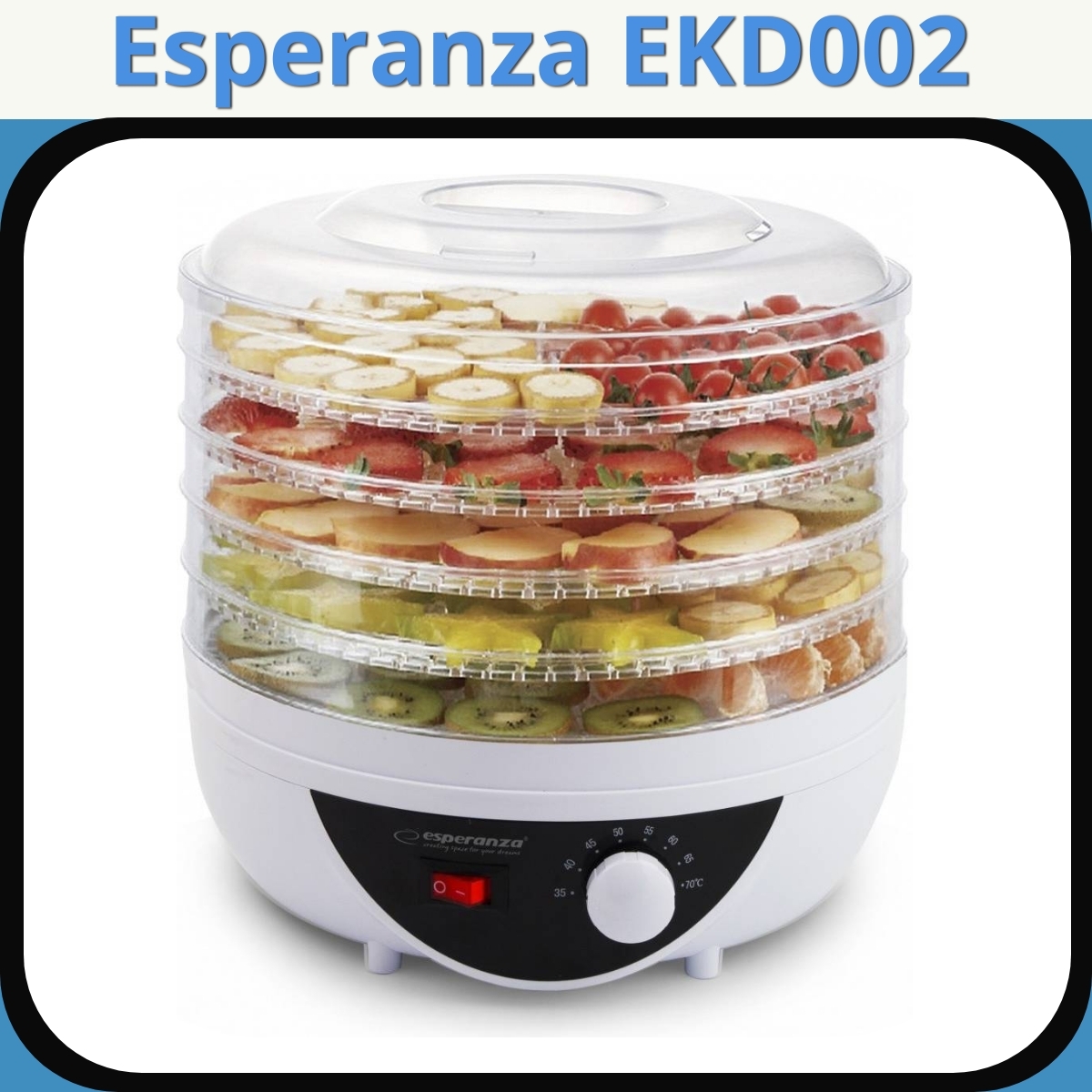 Anmeldelse af Esperanza EKD002