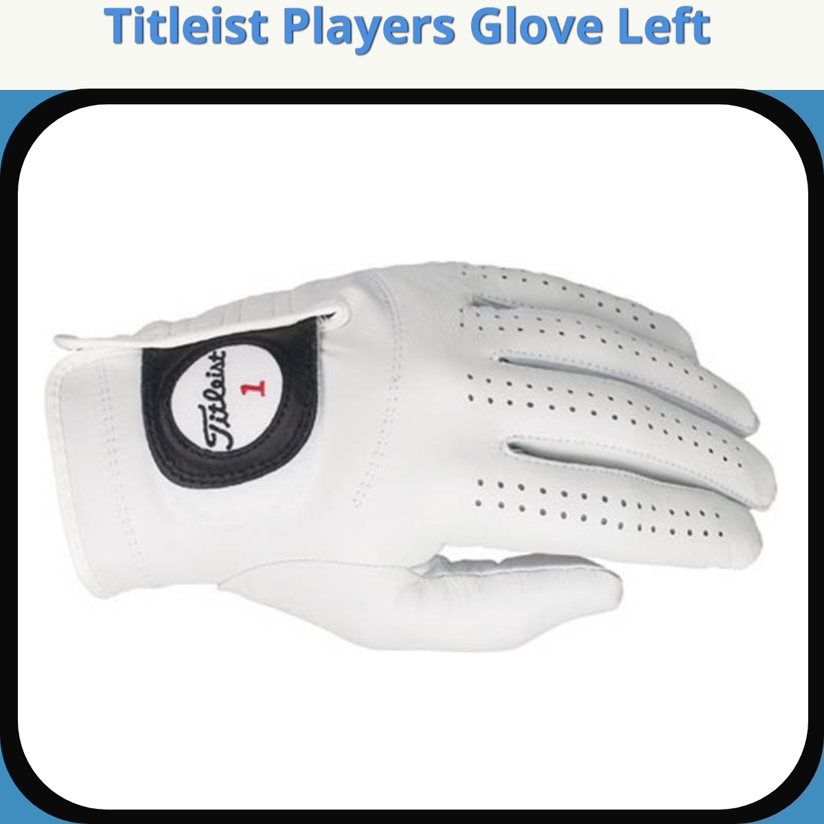 Anmeldelse af Titleist Players Glove Left