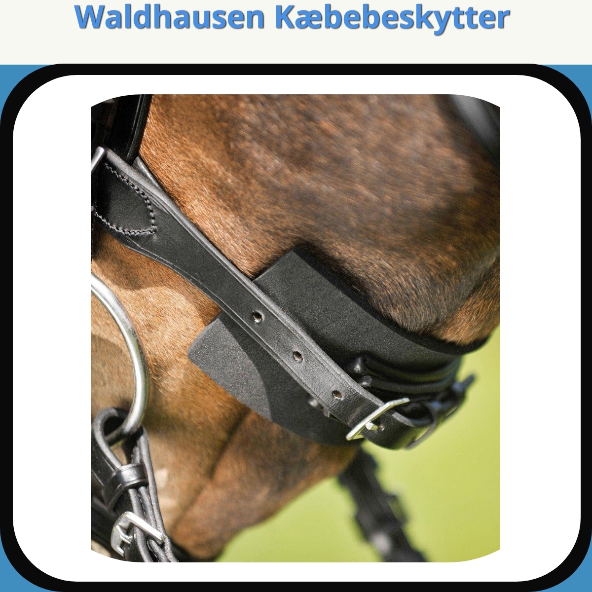 Anmeldelse af Waldhausen Kæbebeskytter