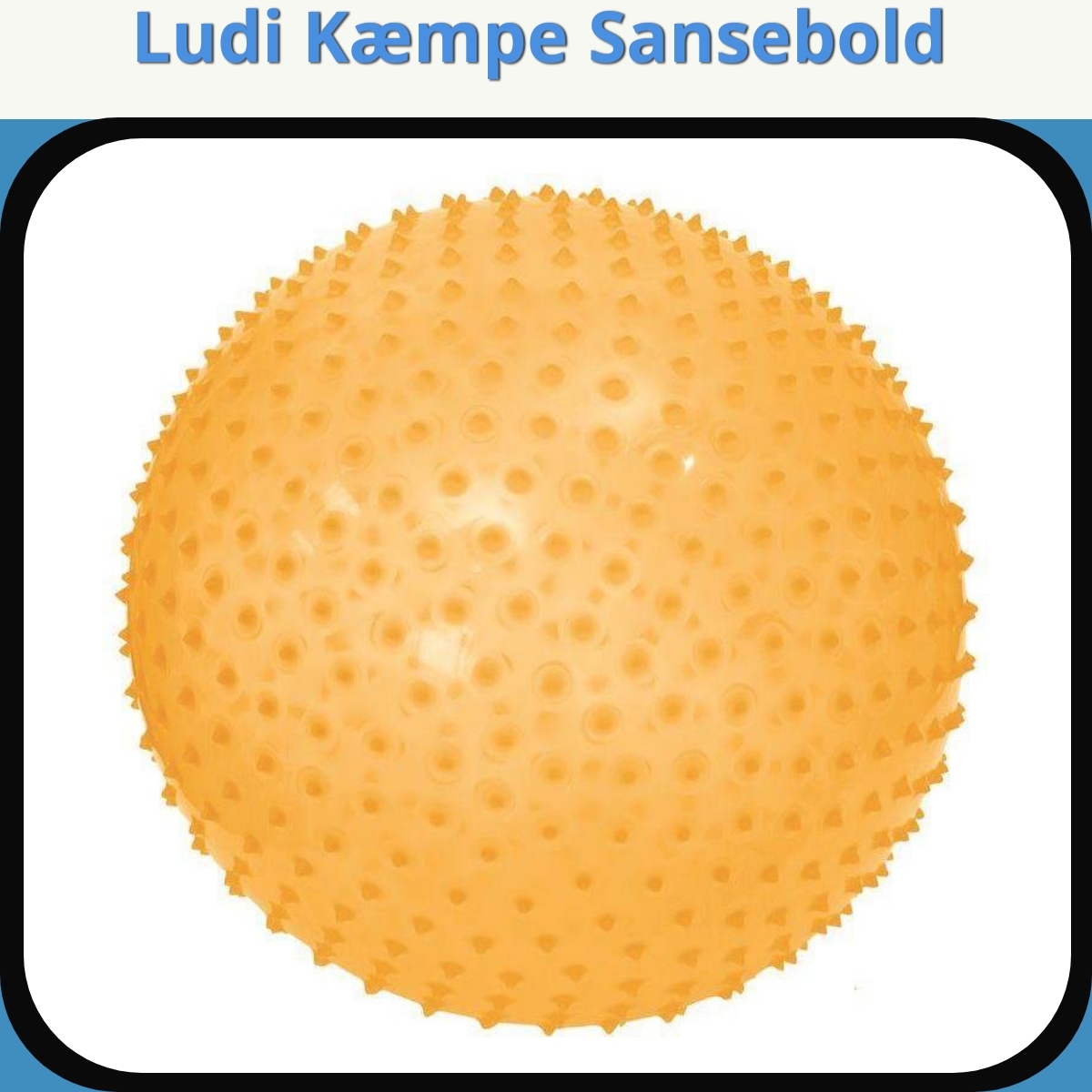 Anmeldelse af Ludi Kæmpe Sansebold