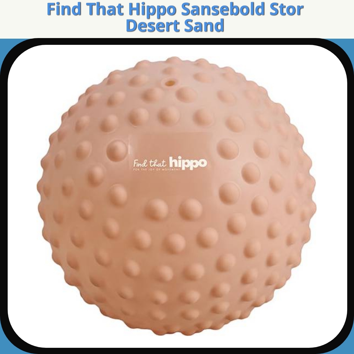 Anmeldelse af Find That Hippo Sansebold Stor Desert Sand